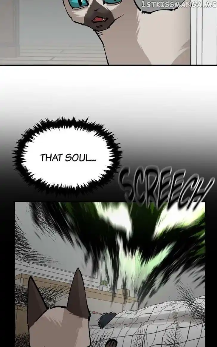 Zipsa Rangers Ch.084