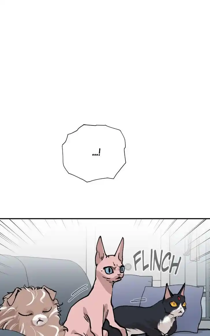 Zipsa Rangers Ch.085