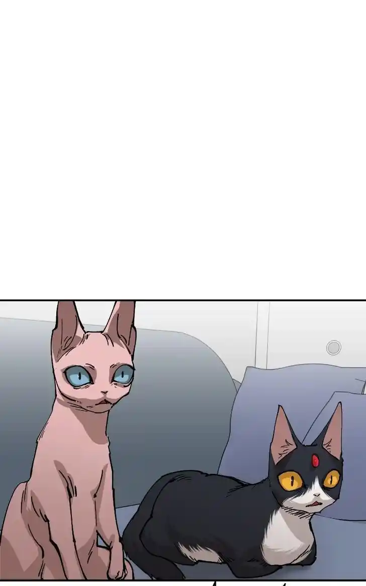 Zipsa Rangers Ch.085