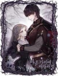 Like the Wind on a Dry Branch Manga