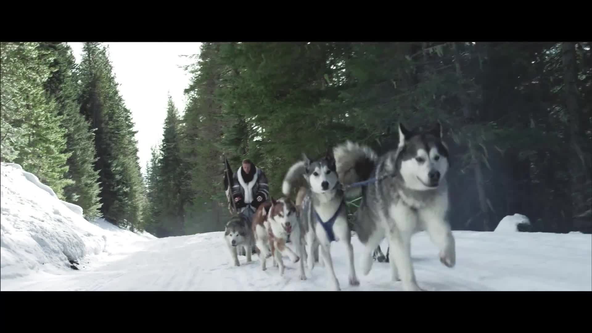 Macklemore Feat. Ray Dalton, Hugel, Solto - Can't Hold Us, Jamaican (Bam Bam) (DJ Crow Afro House Mashup 122 BPM) (1080)