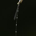 Image of Protosticta satoi