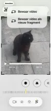 pet-image