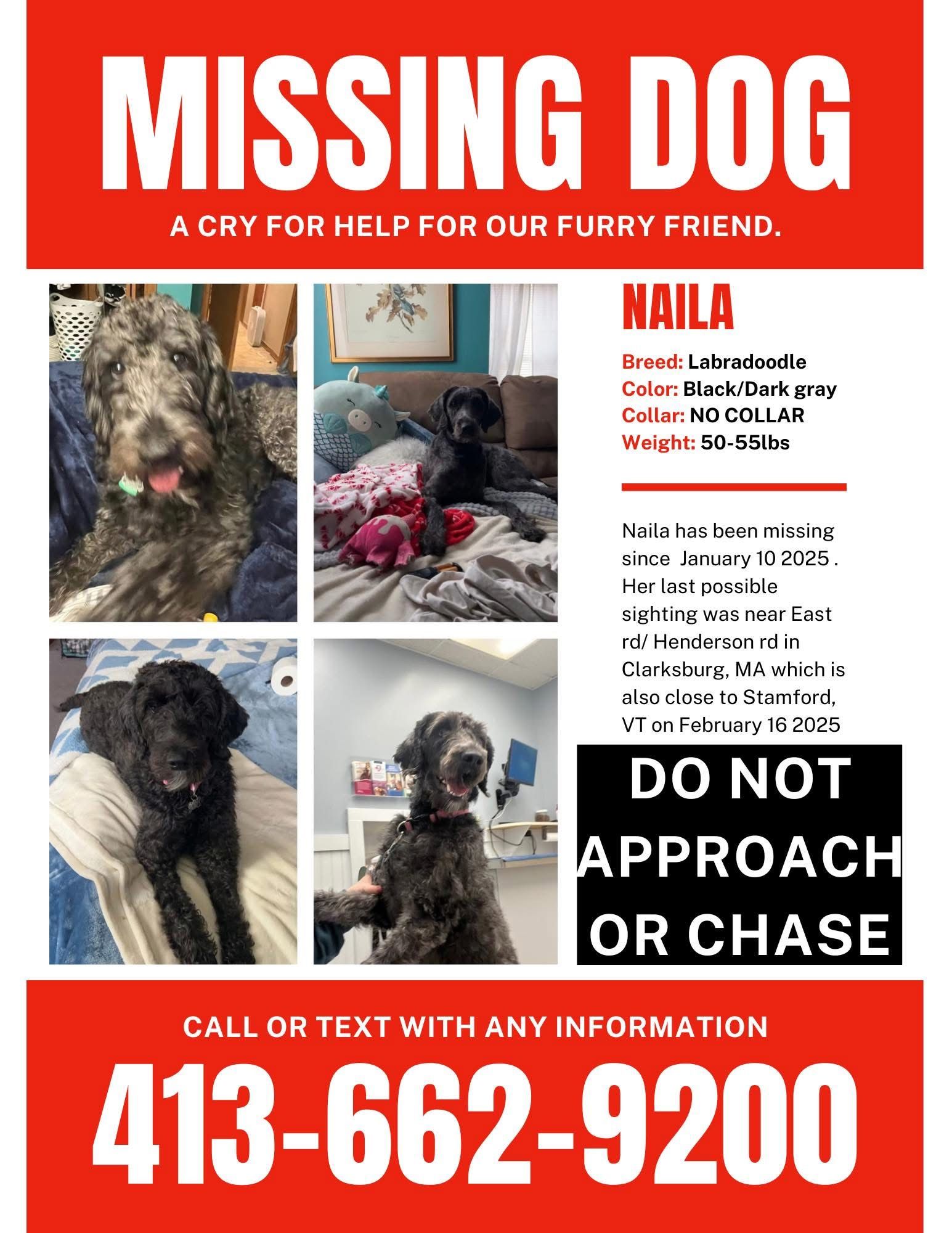 Naila poster