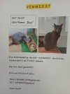 pet-image