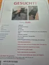 pet-image