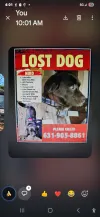 pet-image