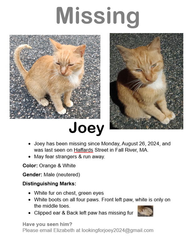 Joey poster