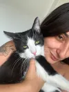 pet-image