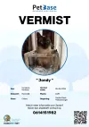 pet-image