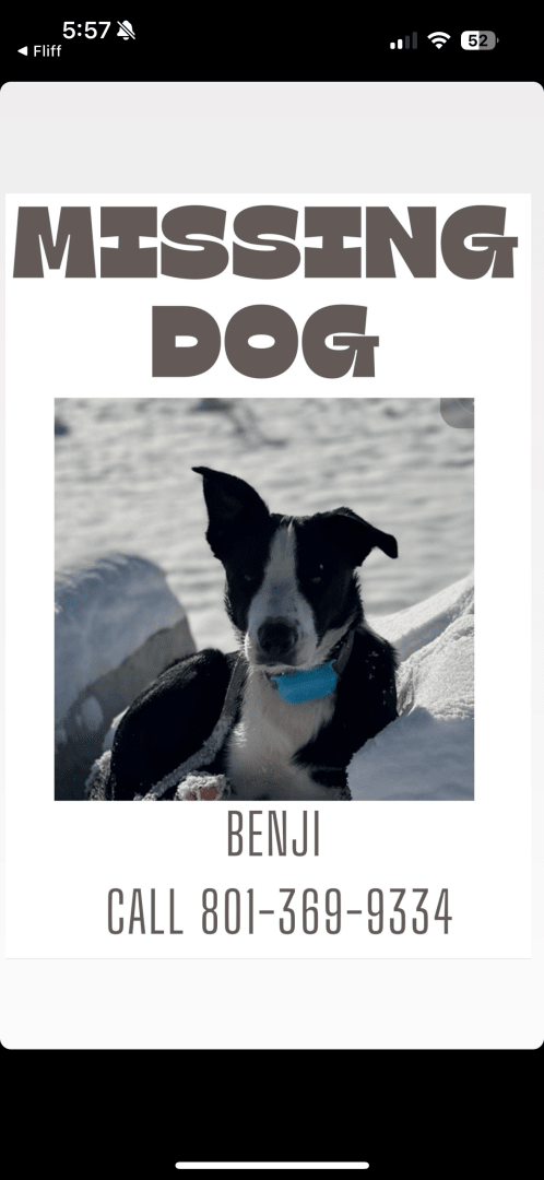 Benji poster