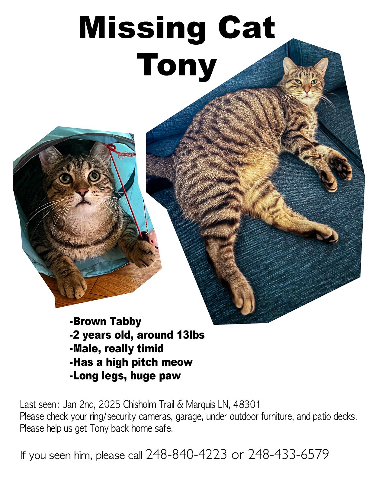 Tony poster