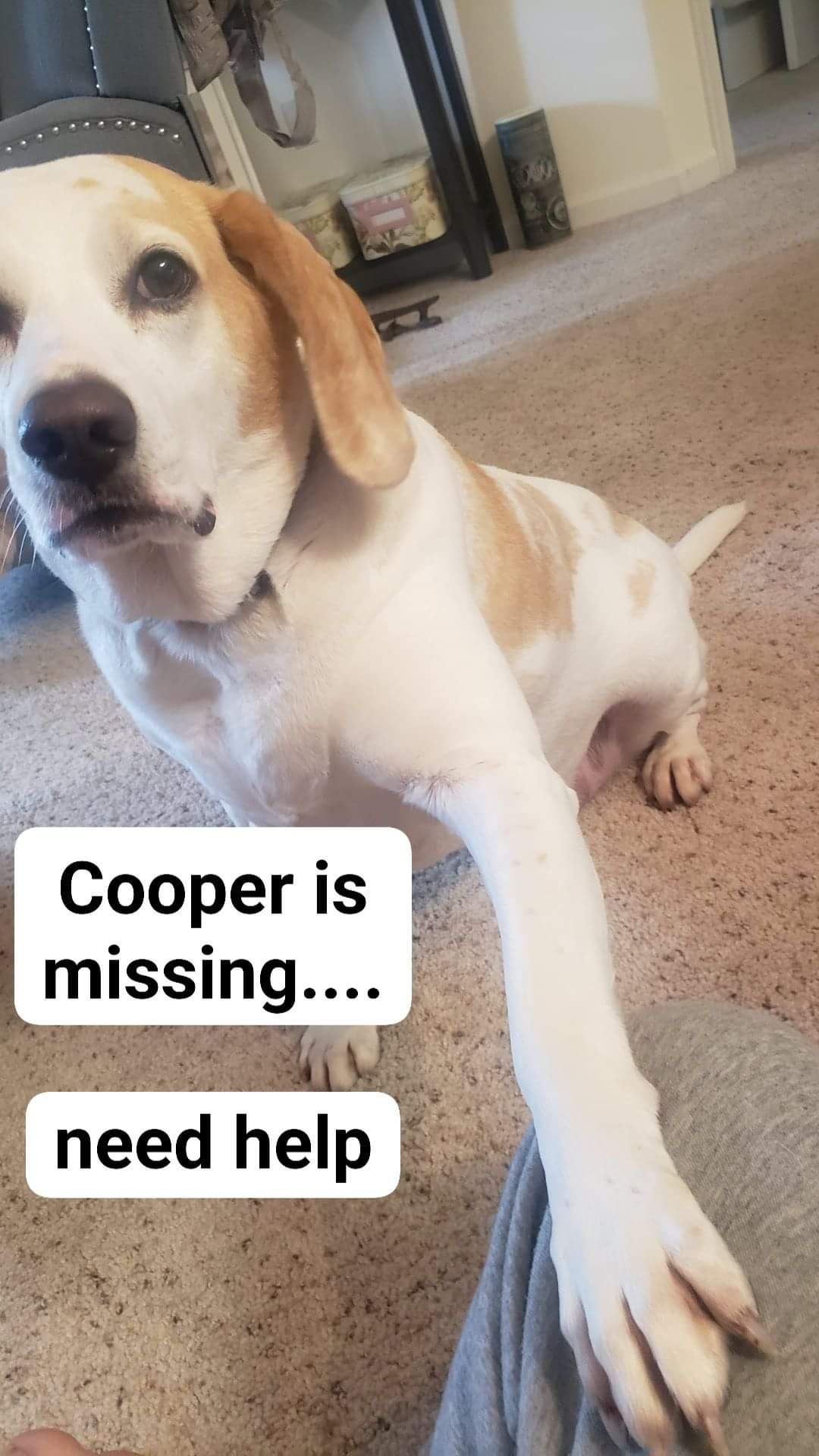 cooper poster