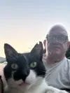 pet-image