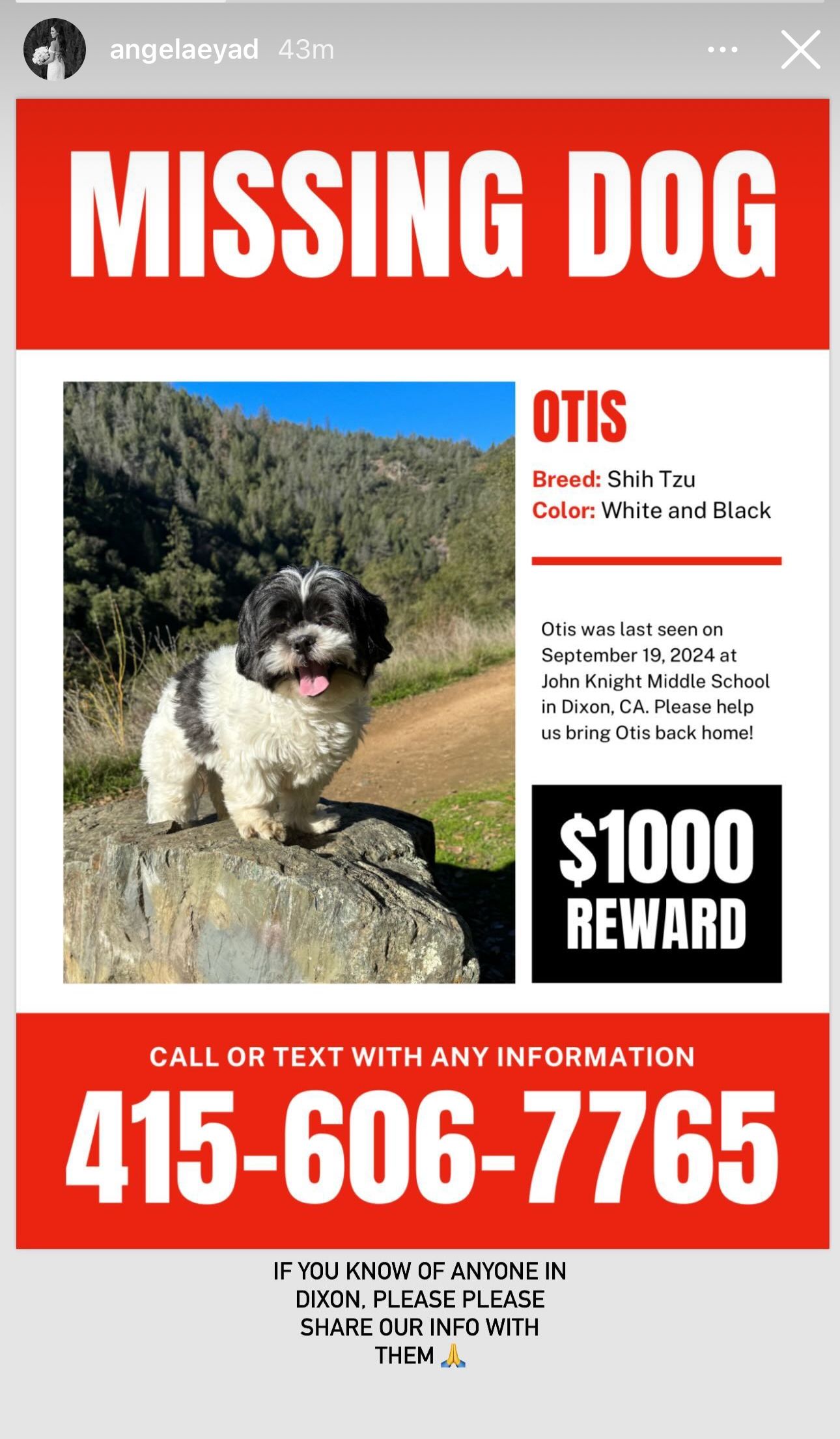 Otis poster