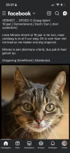 pet-image