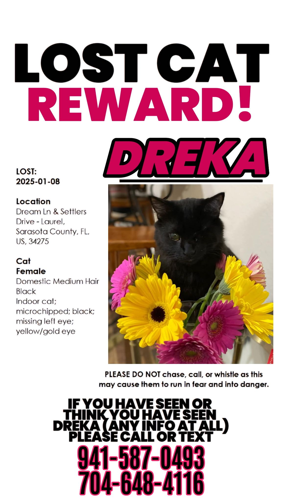 Dreka  poster