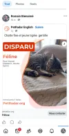 pet-image