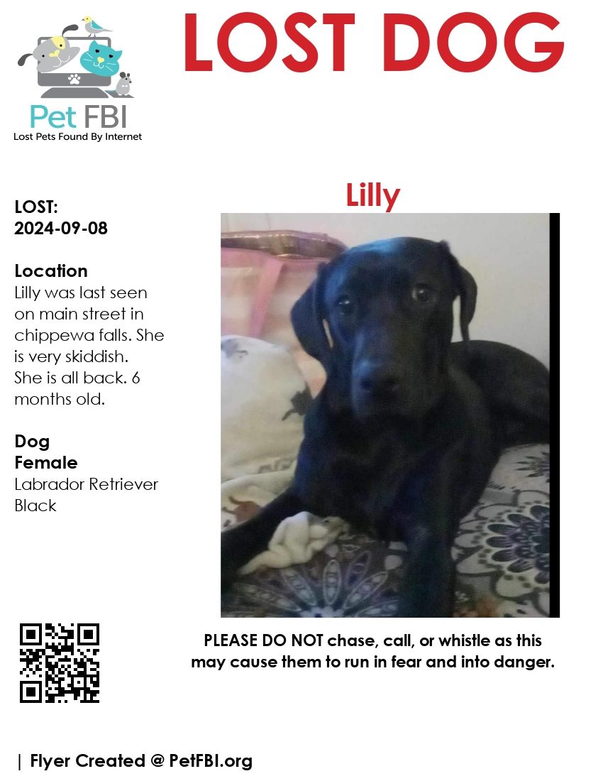 Lilly poster