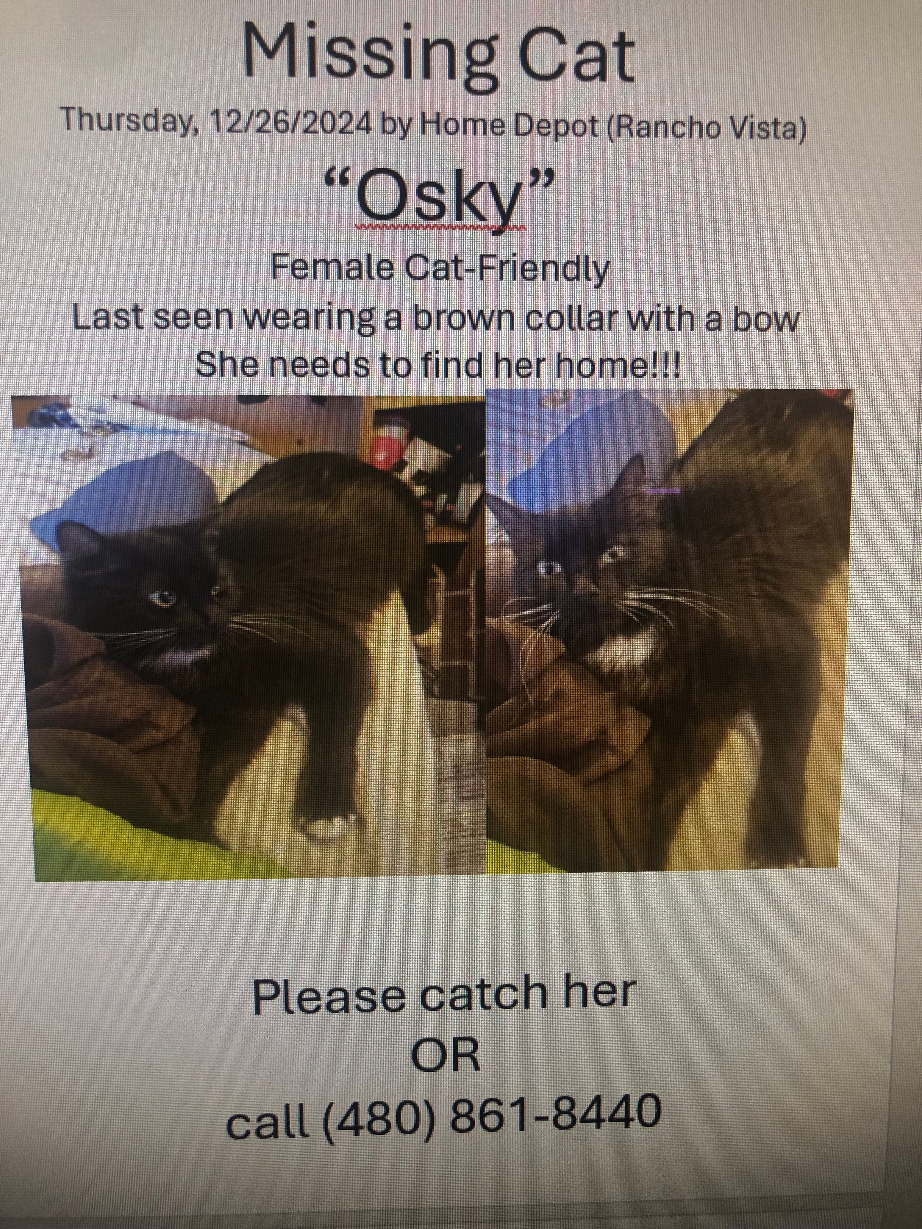 Osky poster