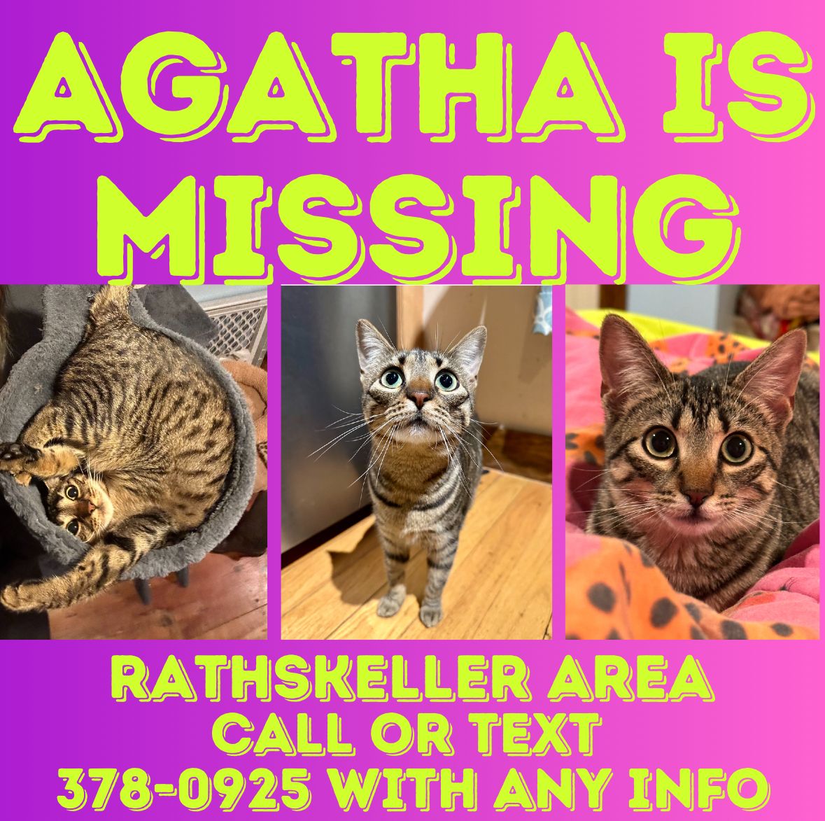 Agatha poster