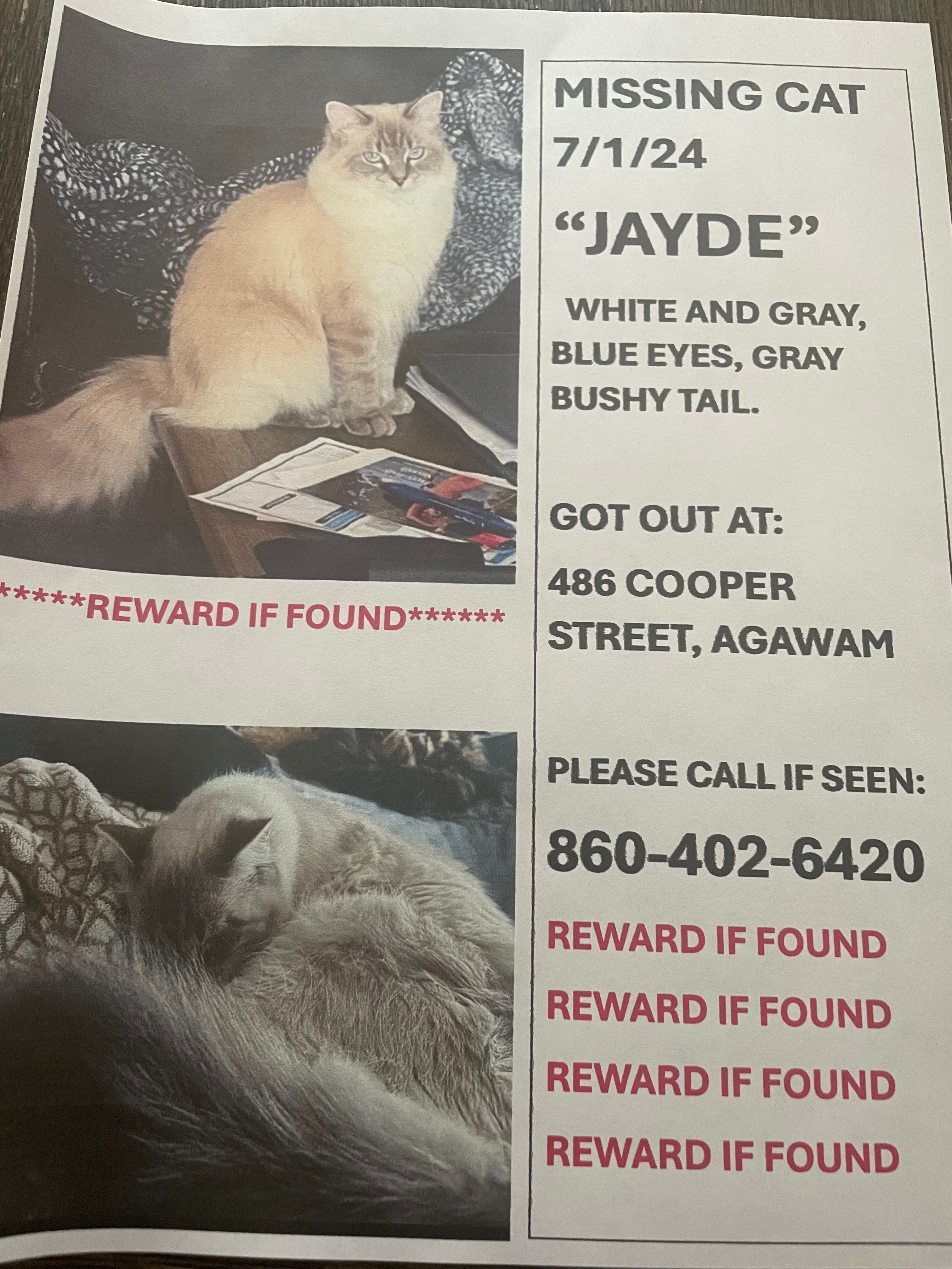 Jayde poster