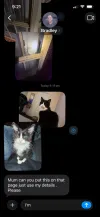 pet-image