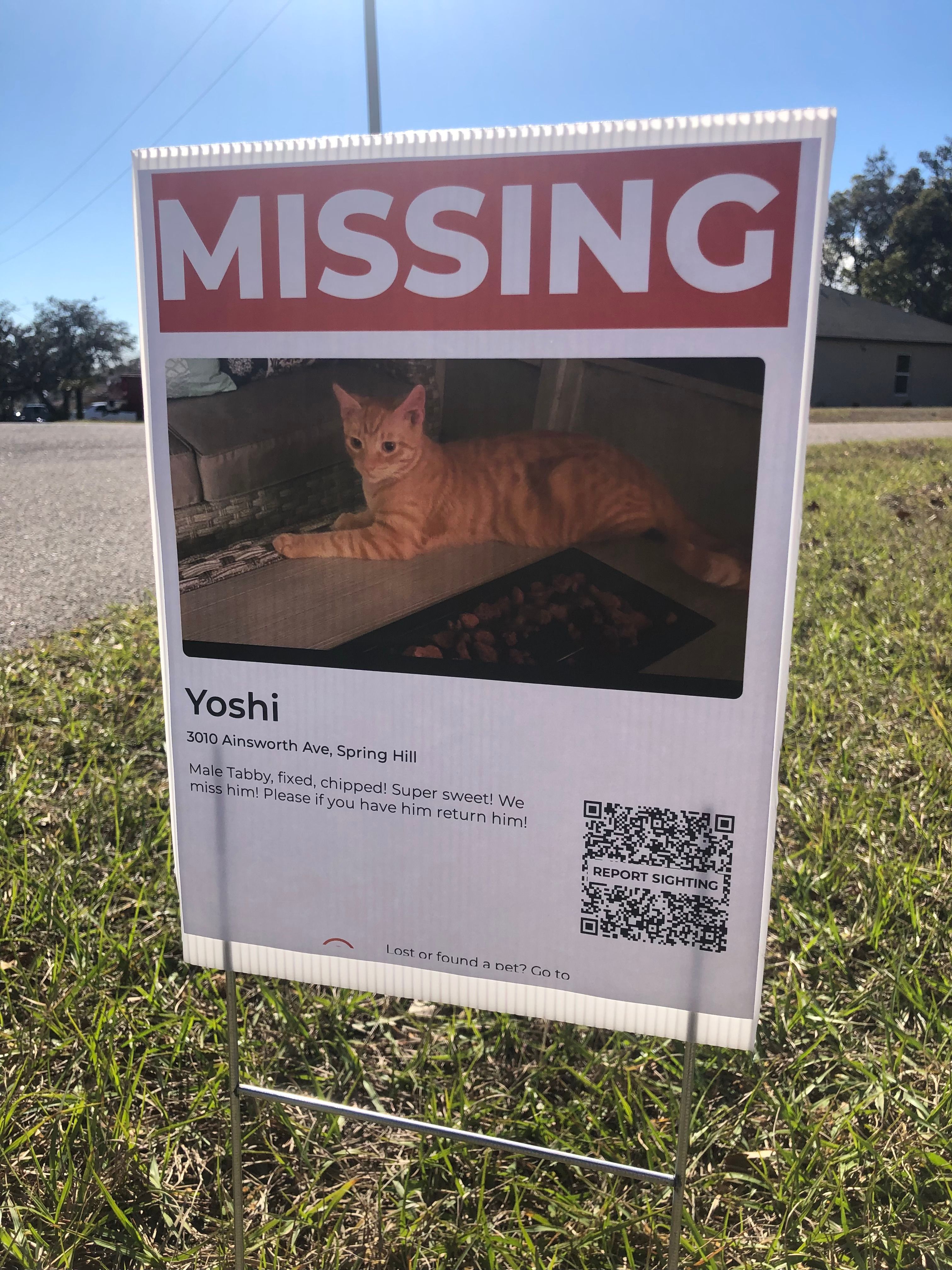 i’m not missing a pet, i found poster