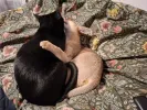 pet-image