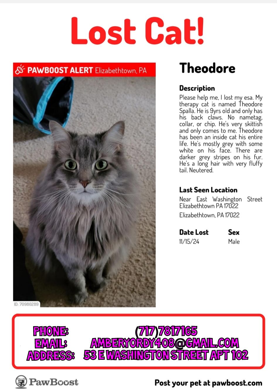 Theodore  poster