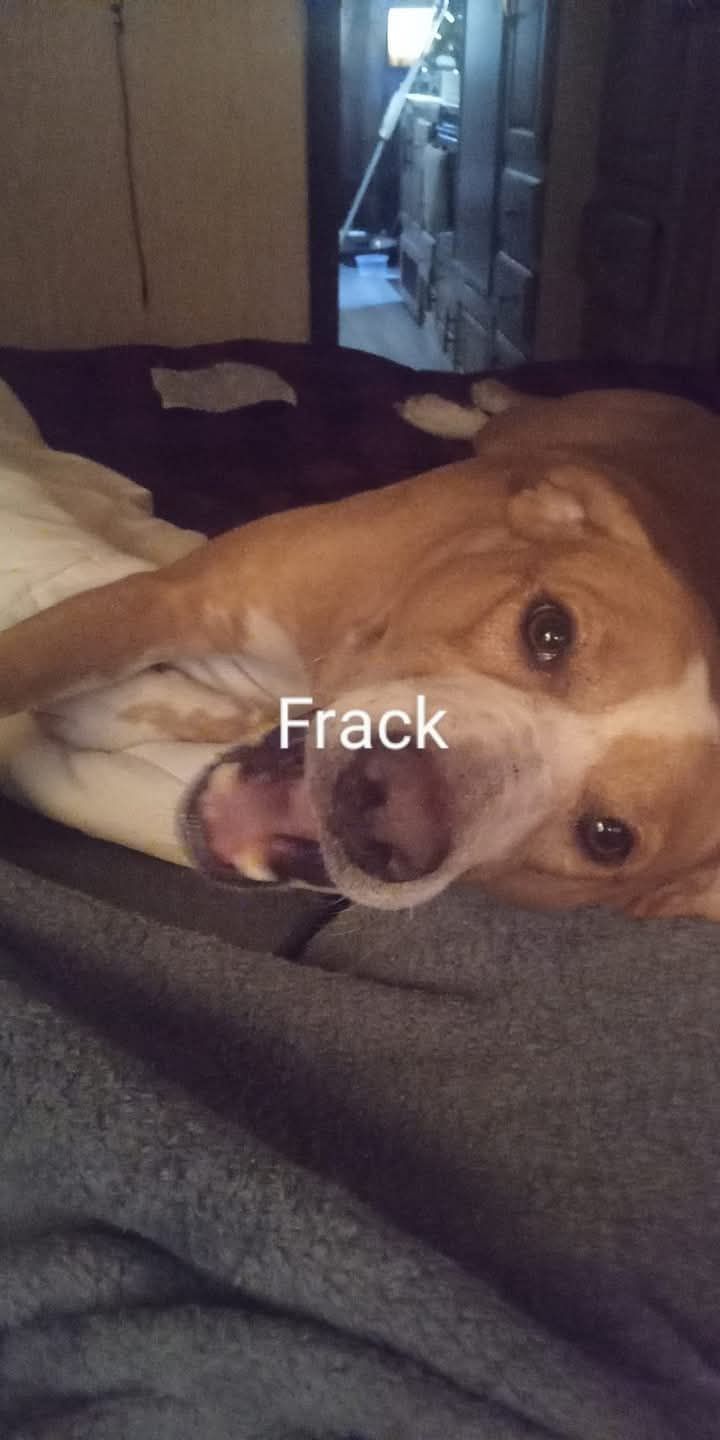 Frack poster