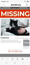 pet-image