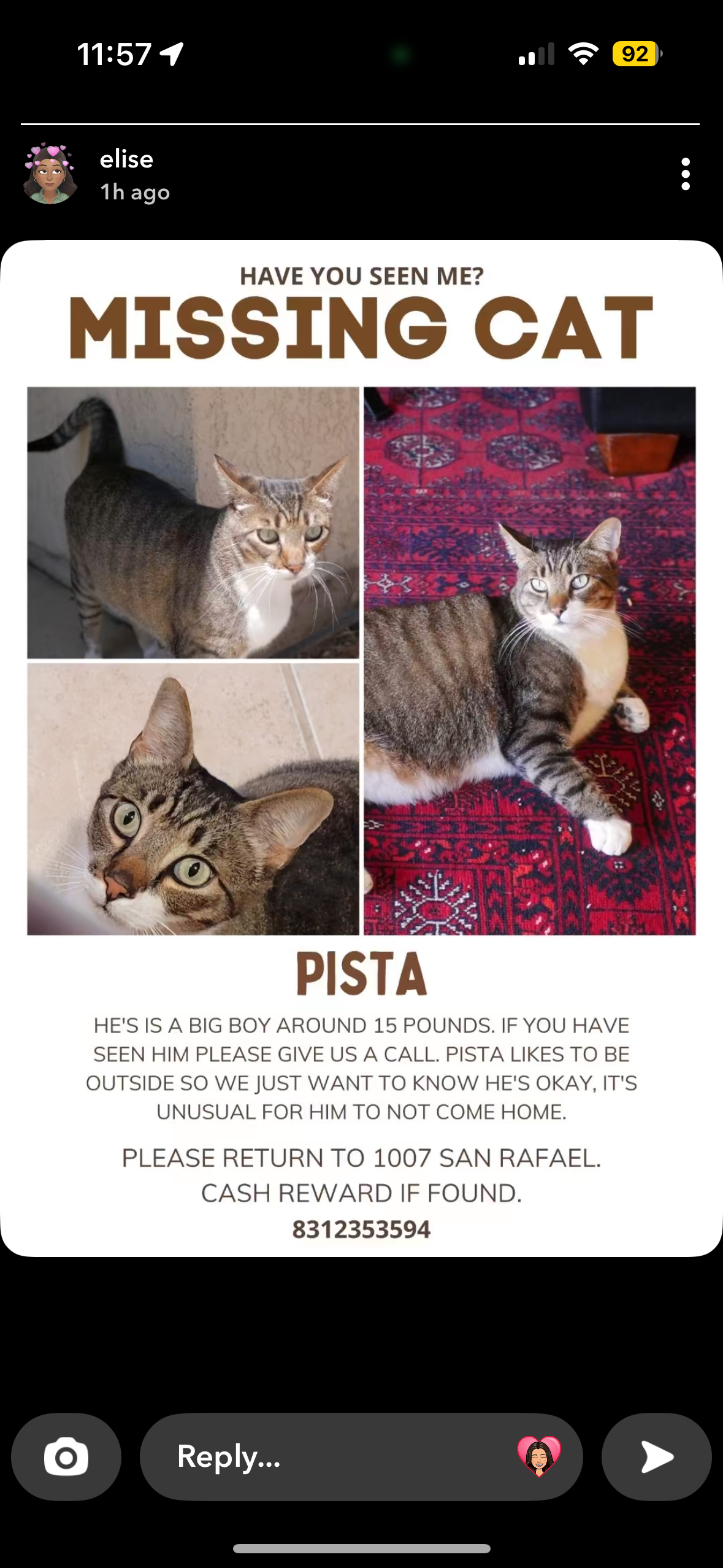 Pista poster