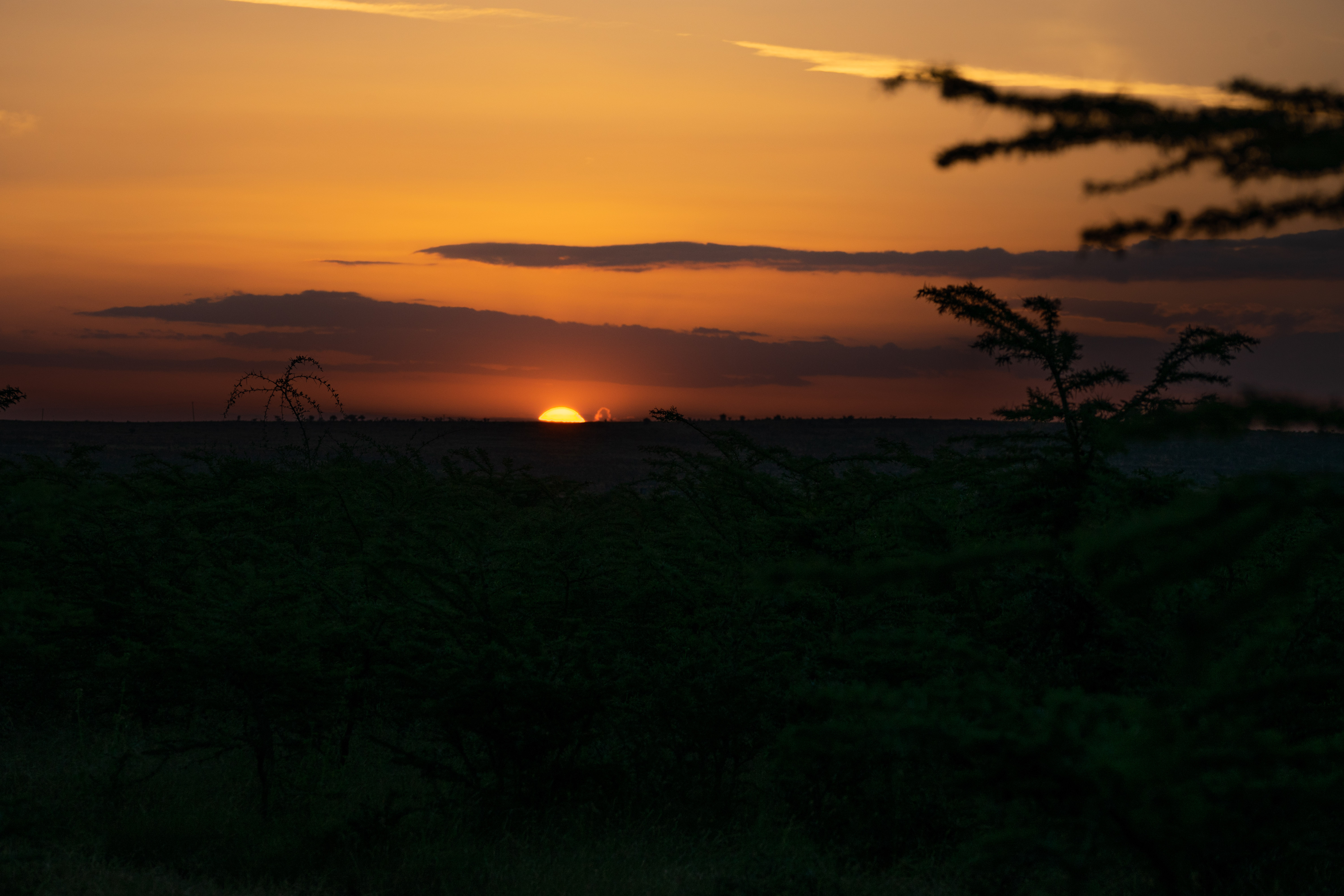  Samburu Rhino Tracking Expedition - Image 4