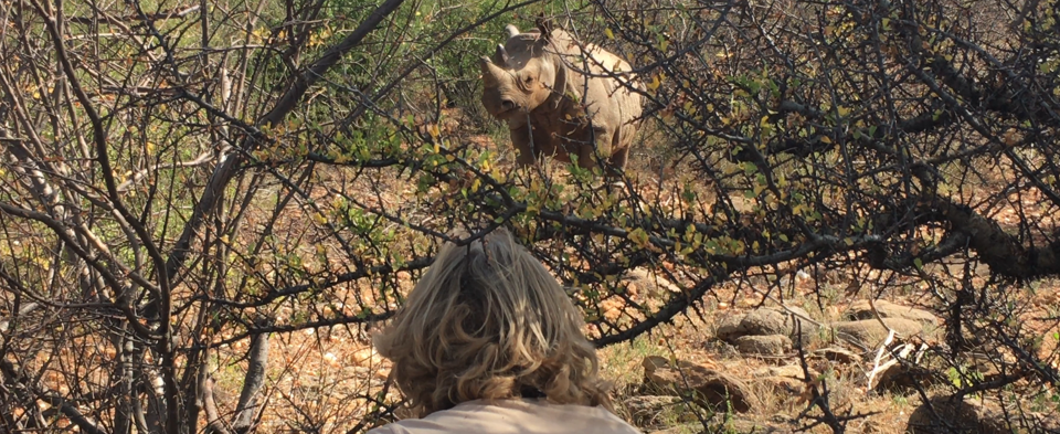 Samburu Rhino Tracking Expedition - Image 5