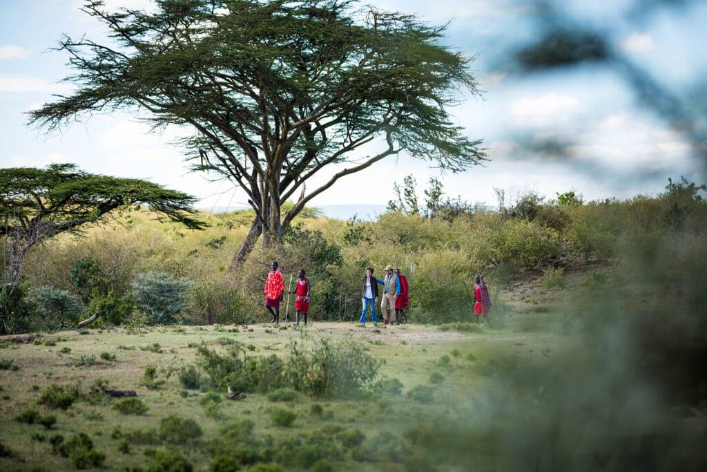 Nature Unveiled:Dorobo Fly Camping Experience - Image 5