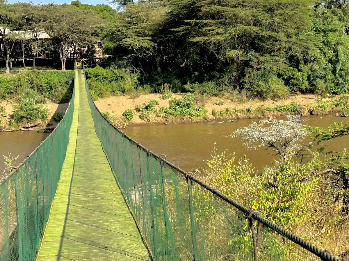 Go Hard, Then Go Wild: The Ultimate Iten to Maasai Mara Experience - Image 7