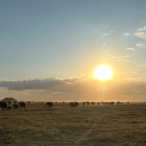 6-Day Maasai Mara Safari and Mtkenya Hiking Combo Budget