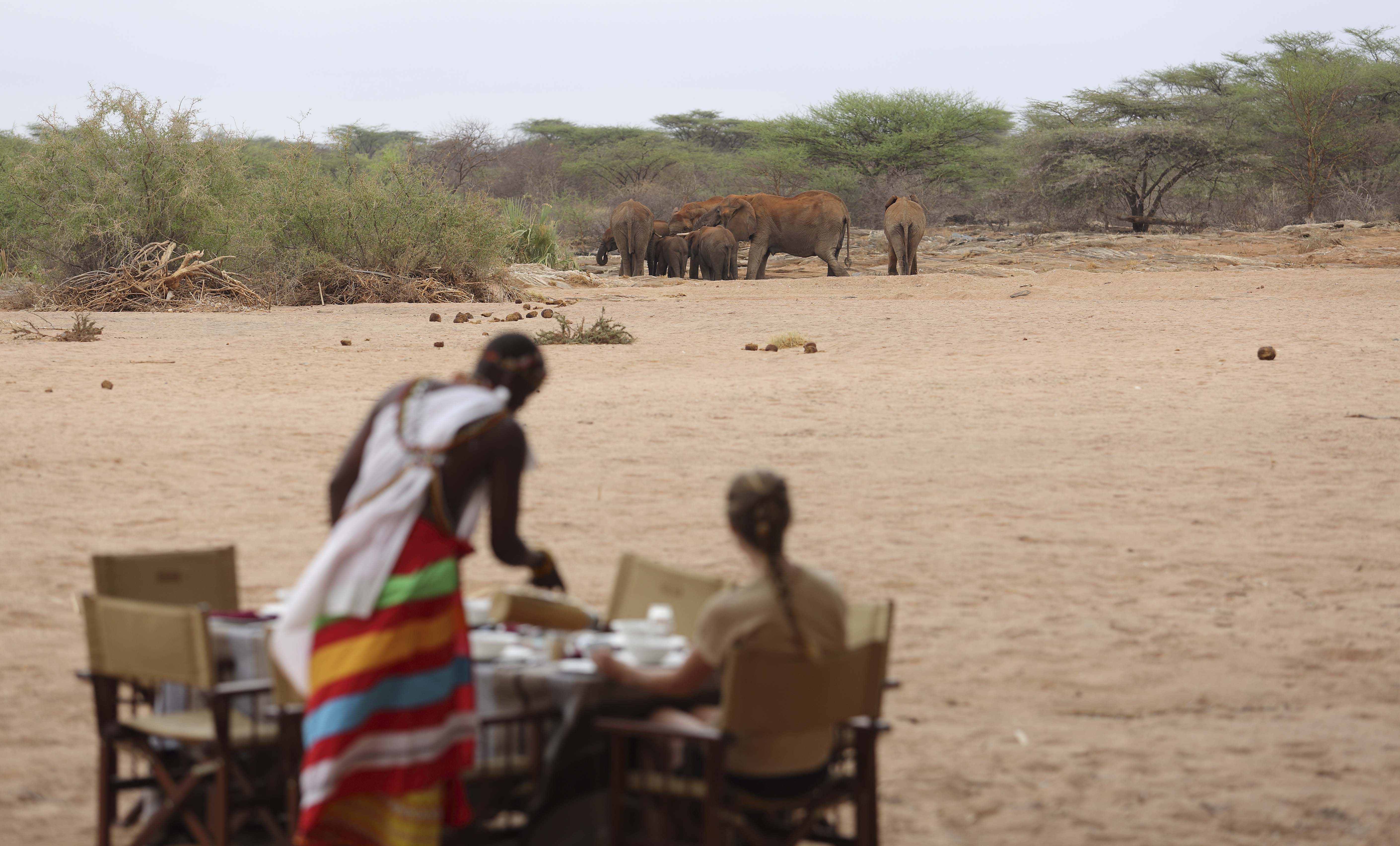 3-Day Rhino Tracking Expedition