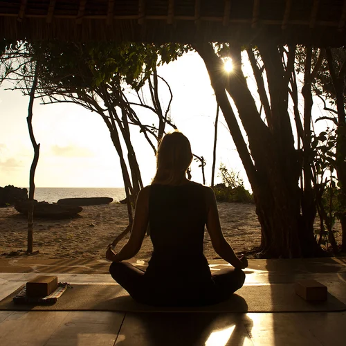 11 Days Wellness, Yoga & Spa Safari