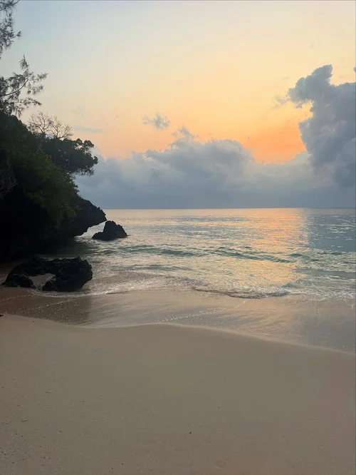11 Days Wellness, Yoga & Spa Safari
