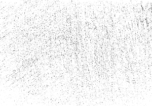 Image_01.png