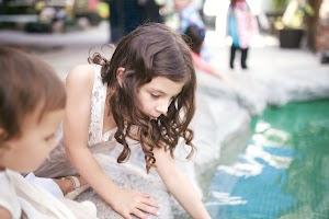 BAA7D82E-5D07-4AC8-BA15-E749CA0B284A.jpg