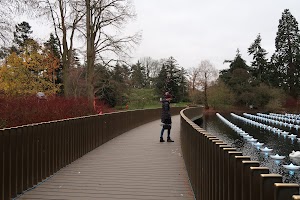 Person on Curved Bridge Over Pond with Floating Lights