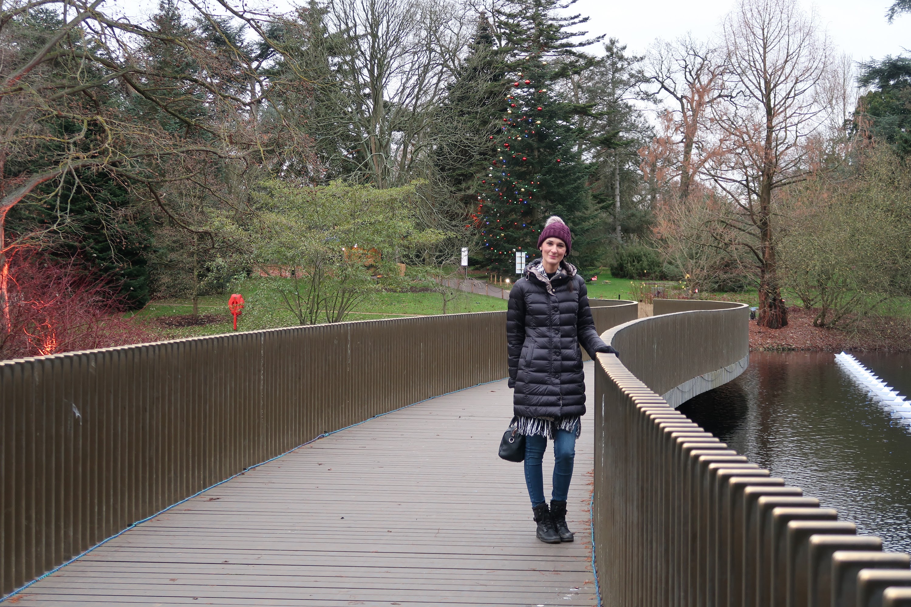 Woman on Curved Bridge in Park with Christmas Tree