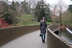 Woman on Curved Bridge in Park with Christmas Tree