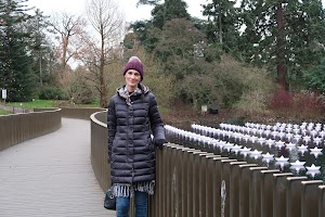 Woman on Curved Bridge with Paper Boats in Pond
