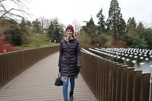 Woman Walking on Bridge Over Pond with Floating Star Lights