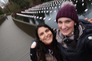 Two Women Smiling on a Bridge with Star-Lit Water
