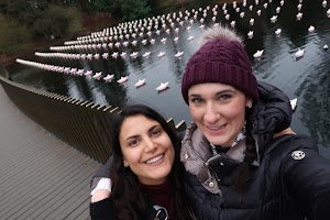 Two Women Taking a Selfie by a Lake with Floating Paper Boats